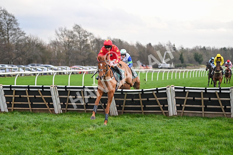 171224-Race 4-Wise Eagle-3279 - Race 4