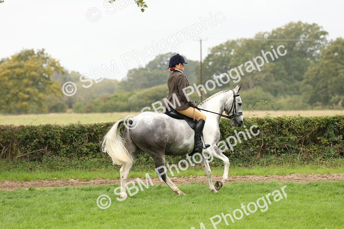 SBM_69883 - S68 - Other Coloured Horse Ridden