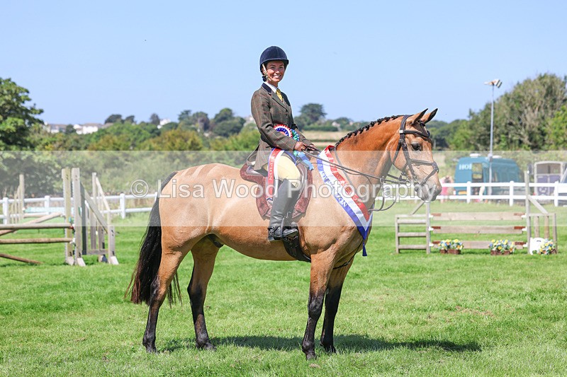 3E7A9293 - Working Hunter Championship