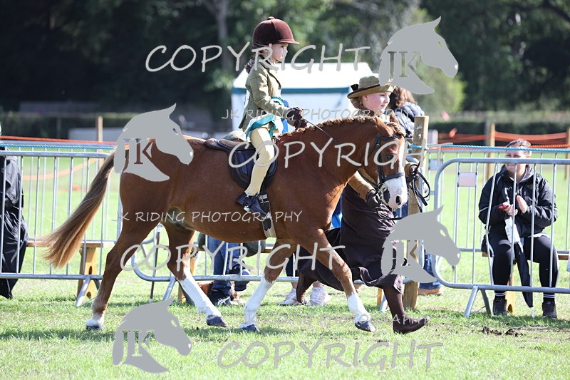 APP_3949 - Class 13 Lead rein