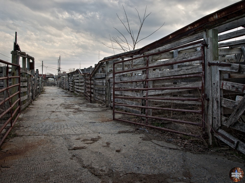 The Lancaster Stockyards | Bleak Ending - Lancaster Stockyard