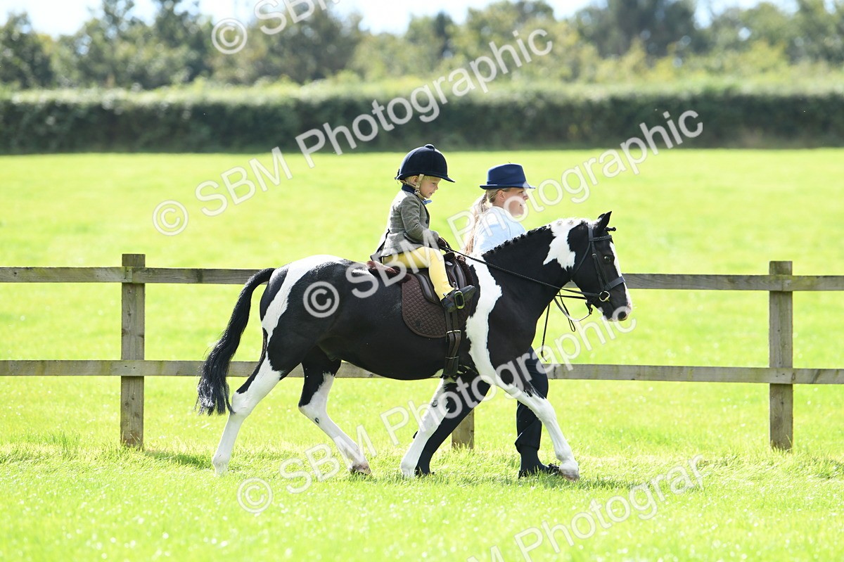 SBM_41157 - S19 - Lead Rein Show & Show Hunter Pony