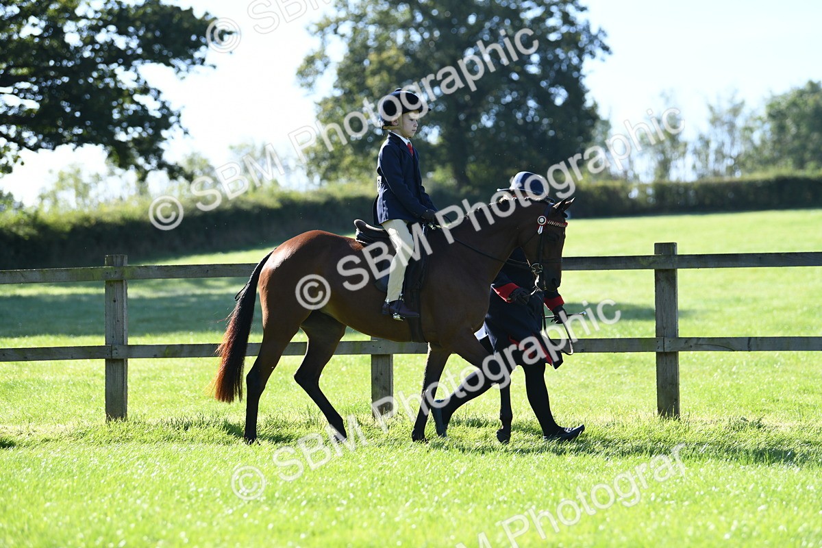 SBM_36802 - S18 - Novice & Newcomers Lead Rein Pony