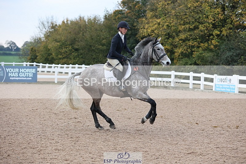 241101A-083323-00289 - FRI Cls 2 British Novice and 90cm Open