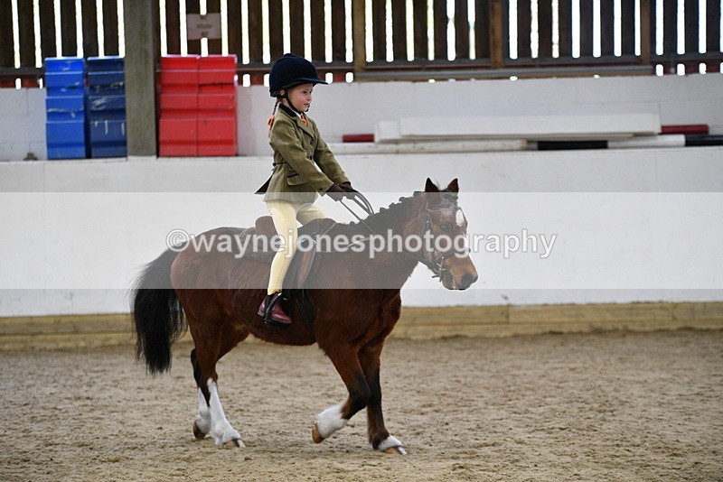 WJ5_6978 - Class 10 Childs Pony