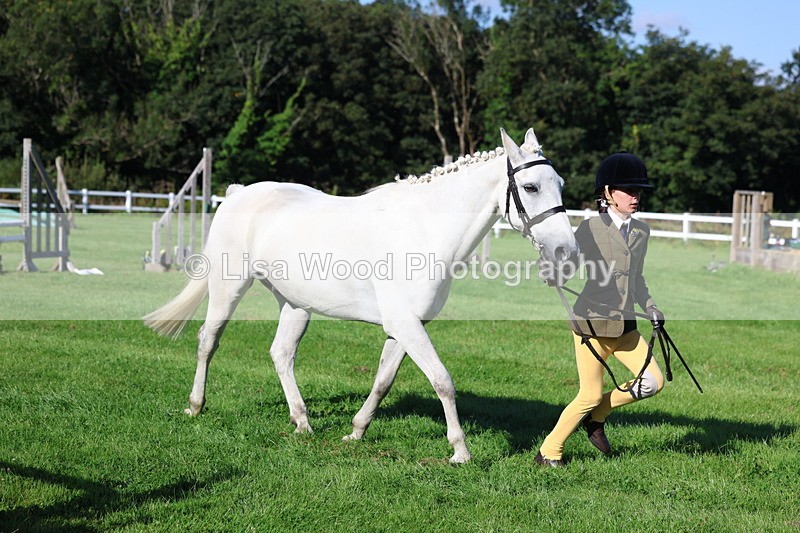 3E7A7697 - Class 1: Novice Working Hunter Pony
