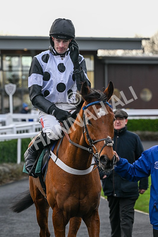 010126-Race 4-Supreme George-2440 - Race 4