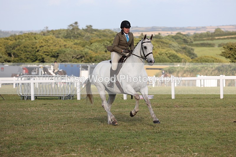 JPP_3486 - Class 22: Working Hunter 90cm