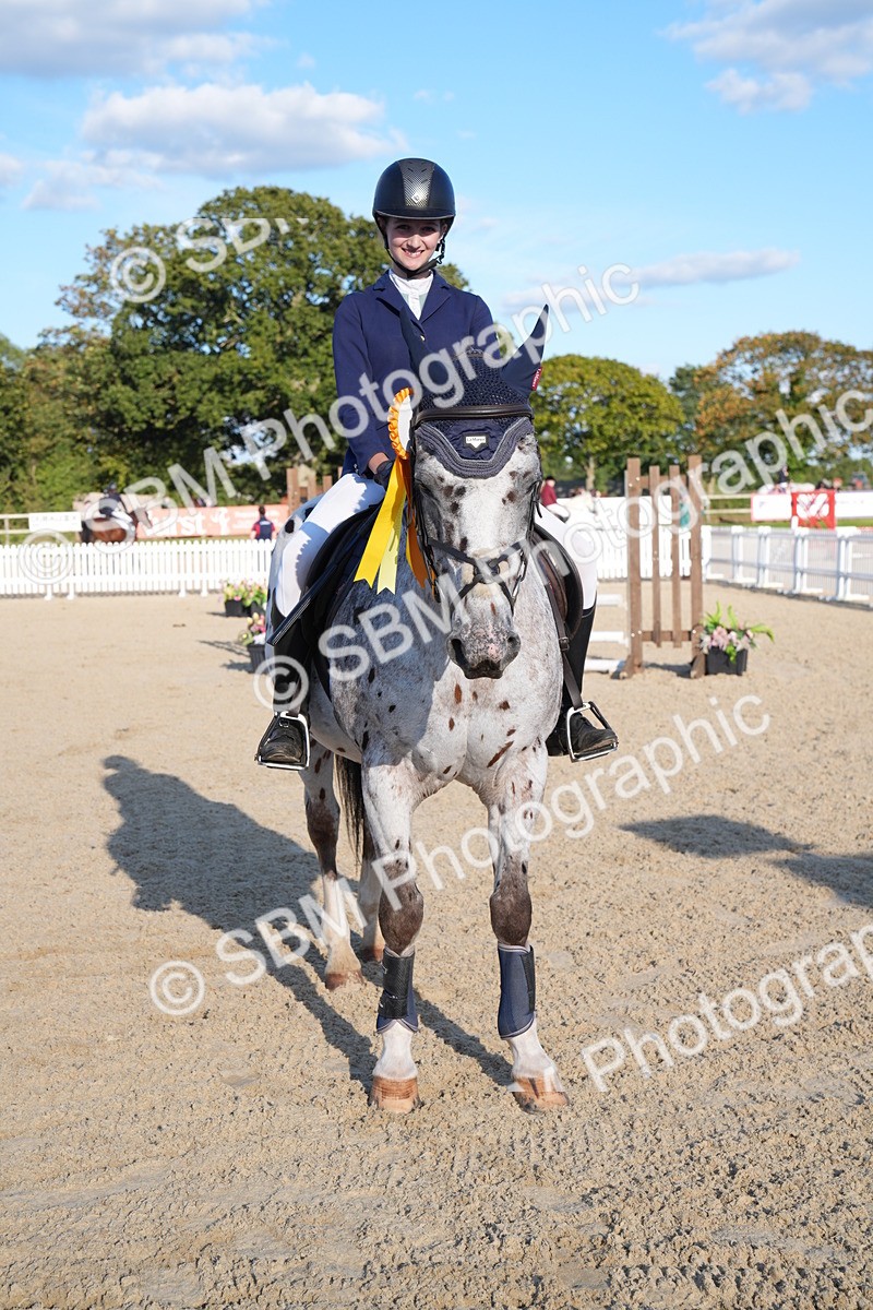 SBM_28045 - J43 - Super Speedy Scurry Open - 60cm