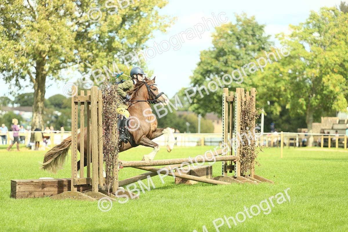 SBM_42830 - S30 - M&M Working hunter Pony