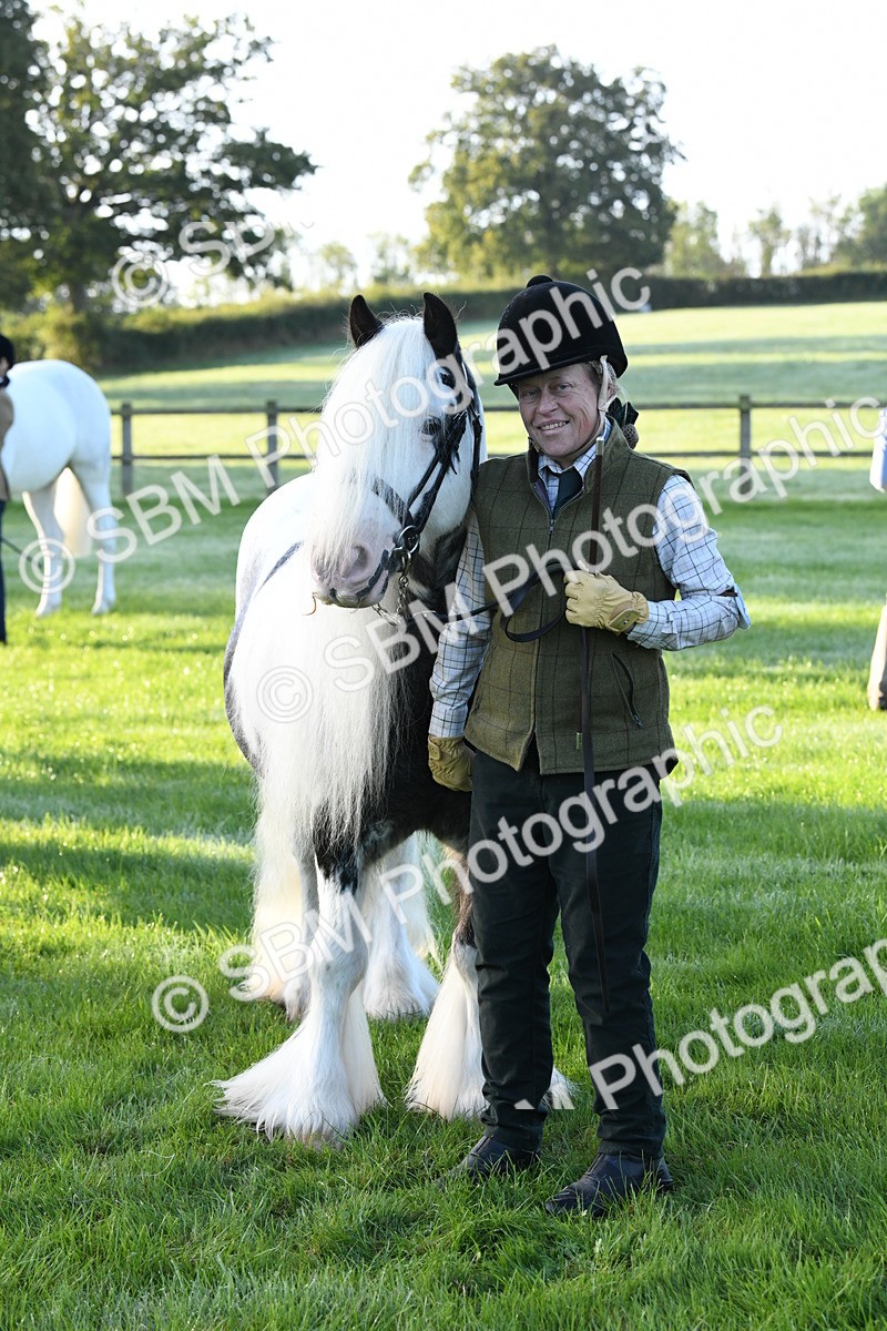 SBM_32663 - S15 - Condition & Turnout In Hand