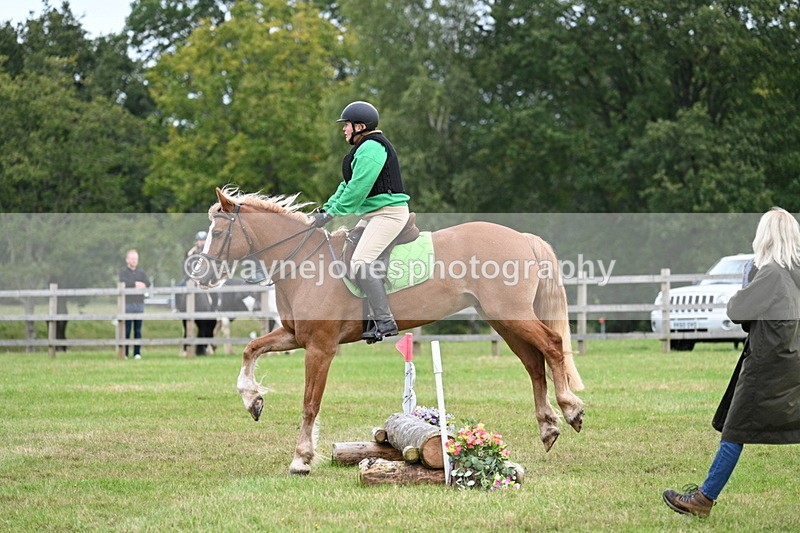 WJ7_7827 - 40cm Time 10:49 to 11:18