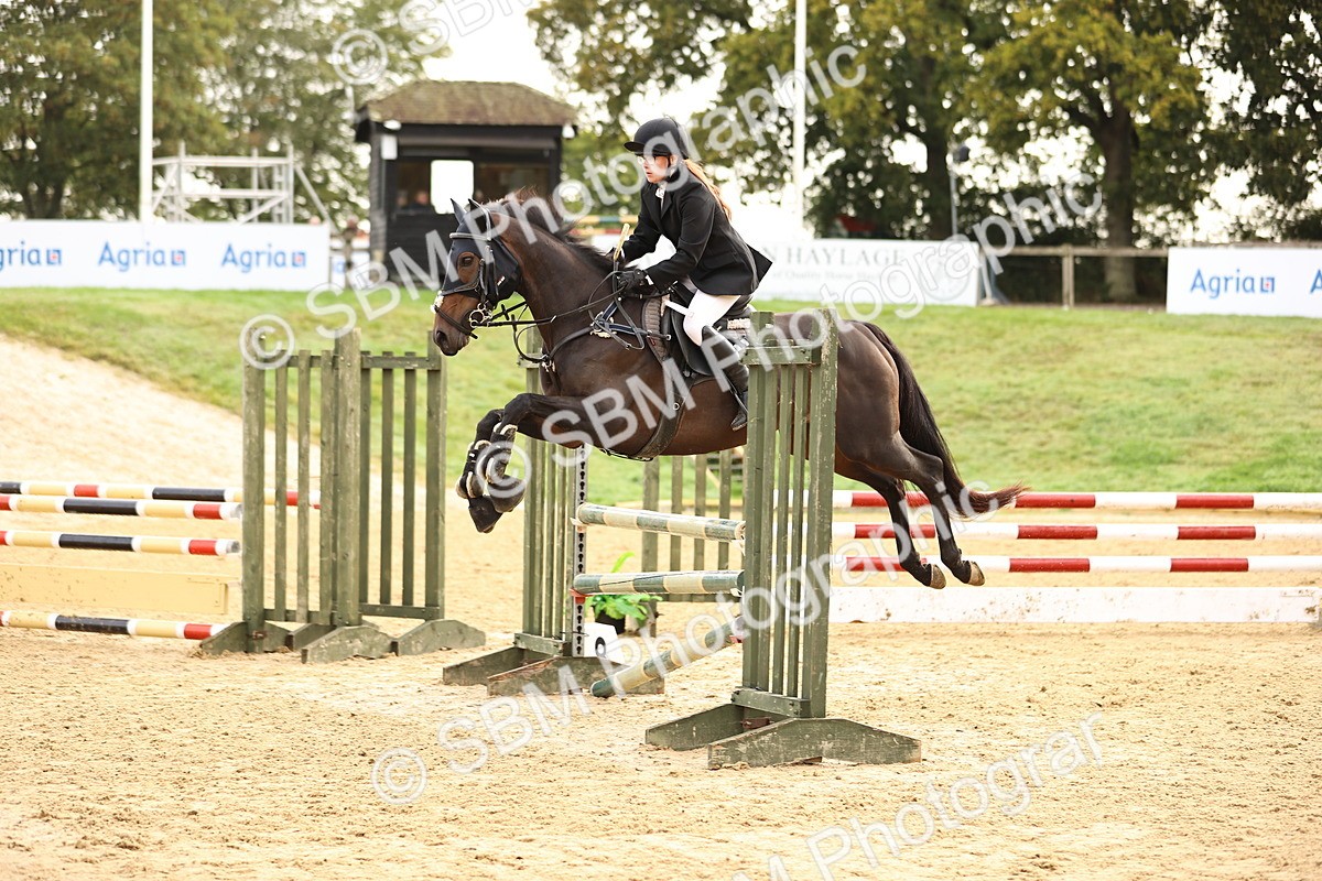 SBM_58458 - J41 - Grand Tour Horse & Pony 95cm