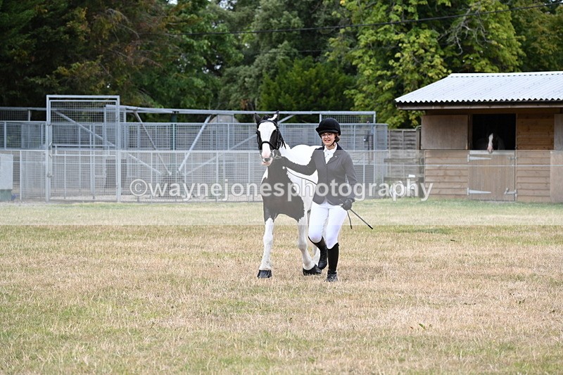 WJ6_4244 - Class 10 Coloured In-hand