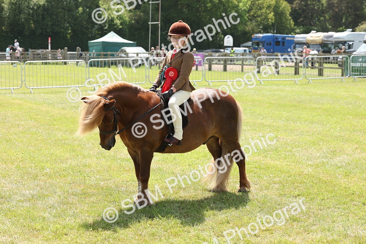 SBM_05365 - Class 24-25 - Mountain & Moorland In Hand Lead Rein and First Ridden