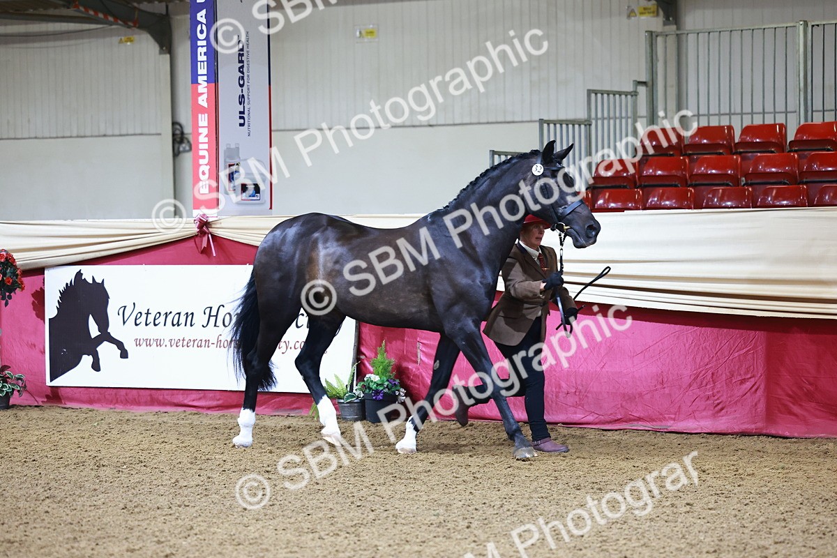 SBM_21659 - Class 901 - Supreme Final - IH  Diamond