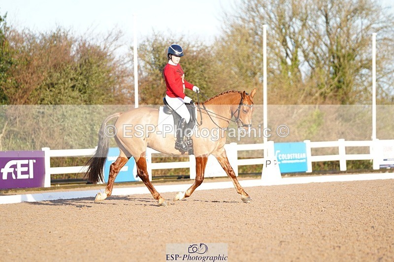 241214-102548-00172 - 108-Pippa.Knight-KFS.Boston.Burglar