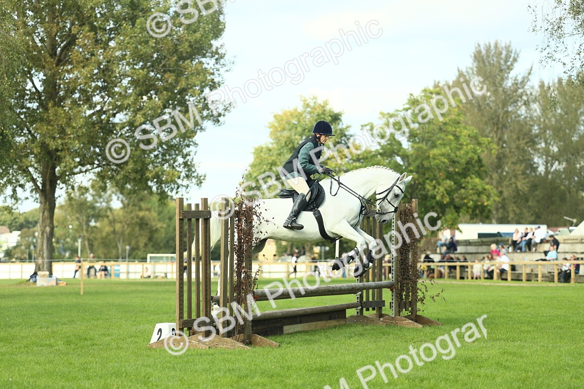 SBM_50584 - S33 - Working Hunter & Working Show Horse