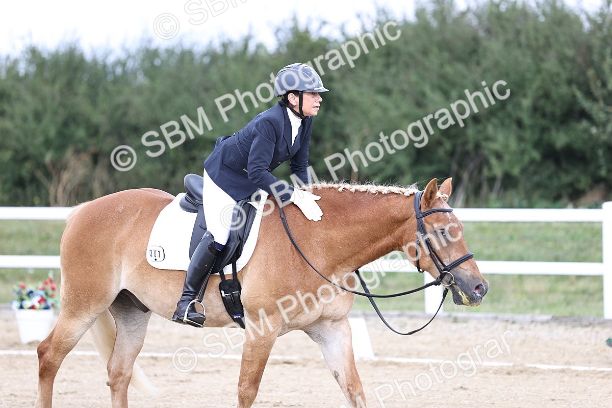 SBM_016780 - Class 14 Novice 23 - 11.53-12.56