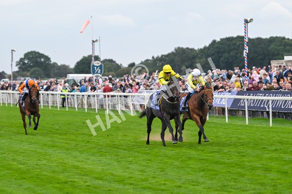220825-Race 3-Lifeplan-7118 - Race 3 3.00pm Al Basti Equiworld Dubai Gimcrack Stakes