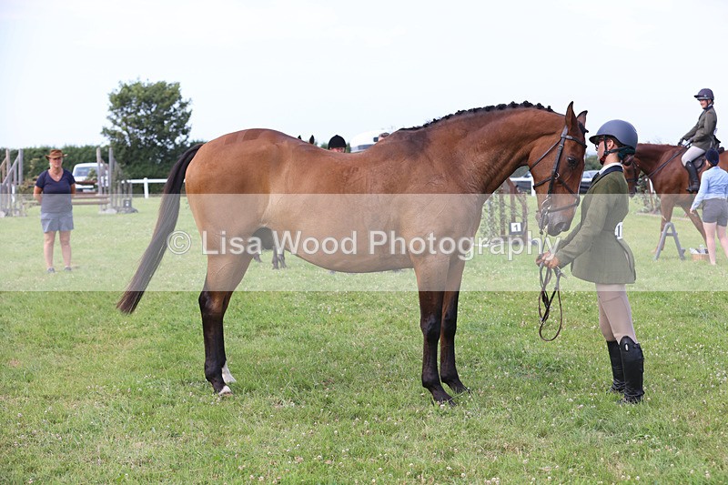 JPP_4541 - Class 26: Working Hunter 1m