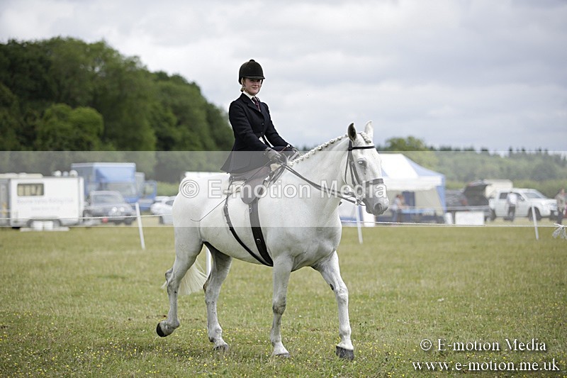 BVR160717-2002 - Side Saddle Classes 16/07/17