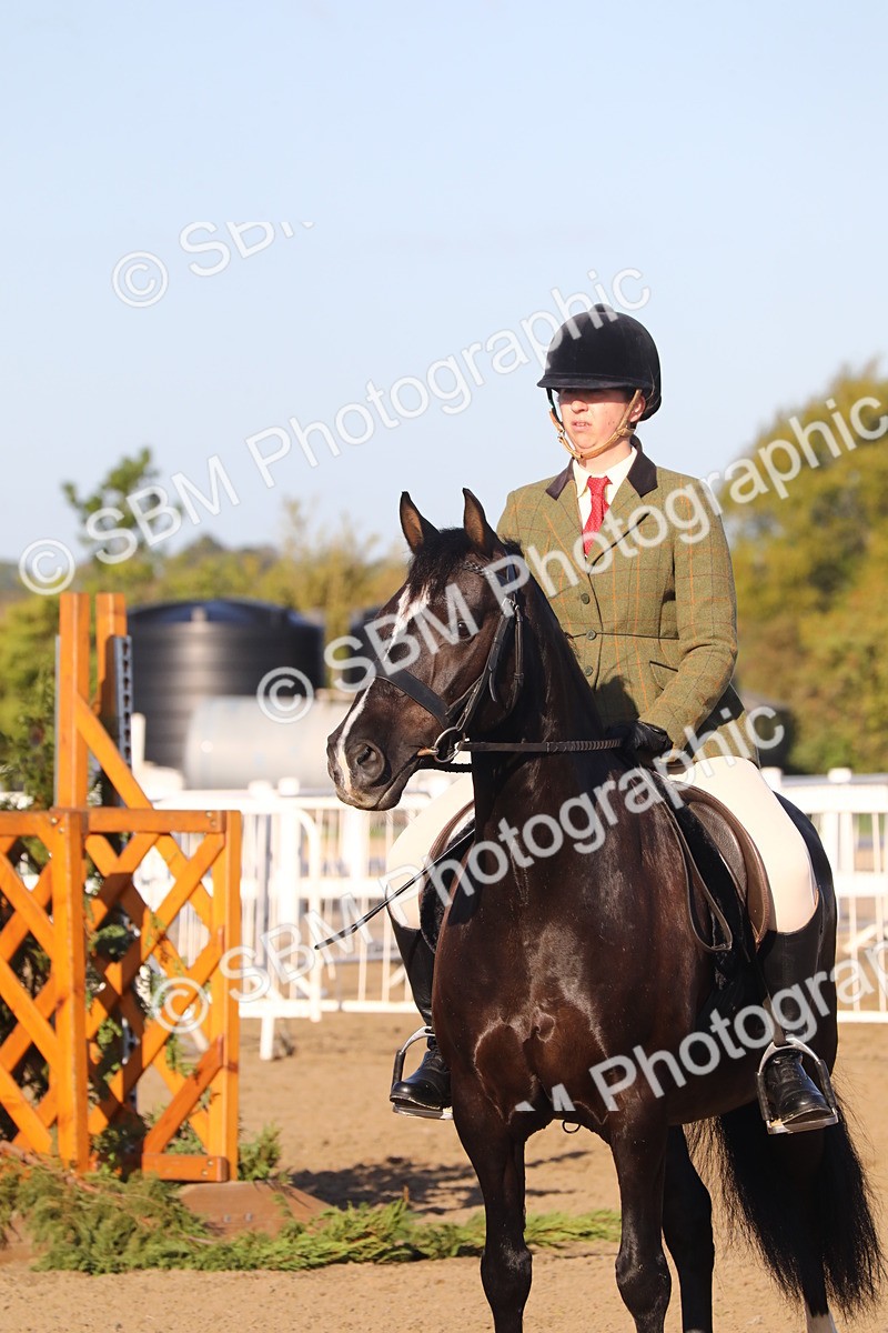 SBM_07904 - Class 501 - Riding Club Pony