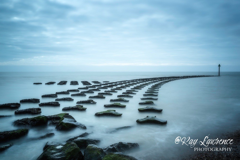 RLP_7990-28 - Close to Home