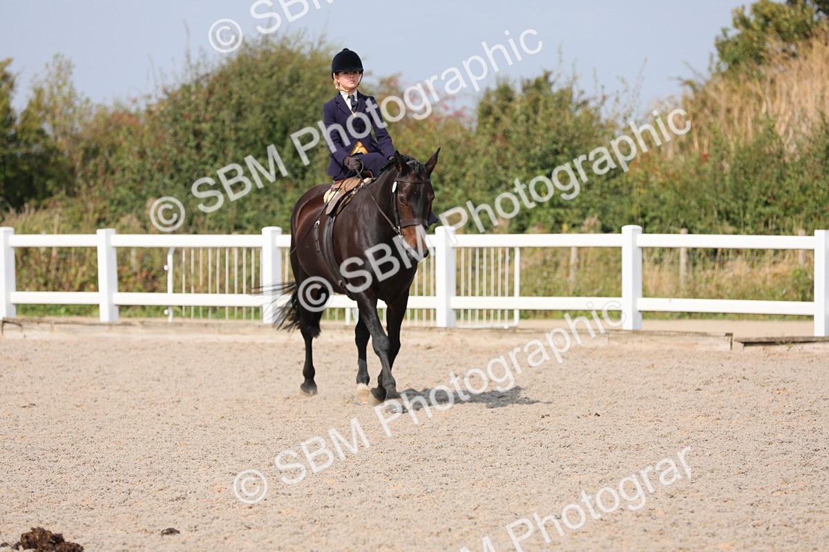 SBM_14544 - Class 211 Best Side Saddle Horse/Pony