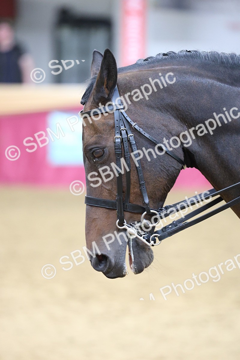 SBM_23614 - Class 904 - Supreme Final - Ridden Diamond