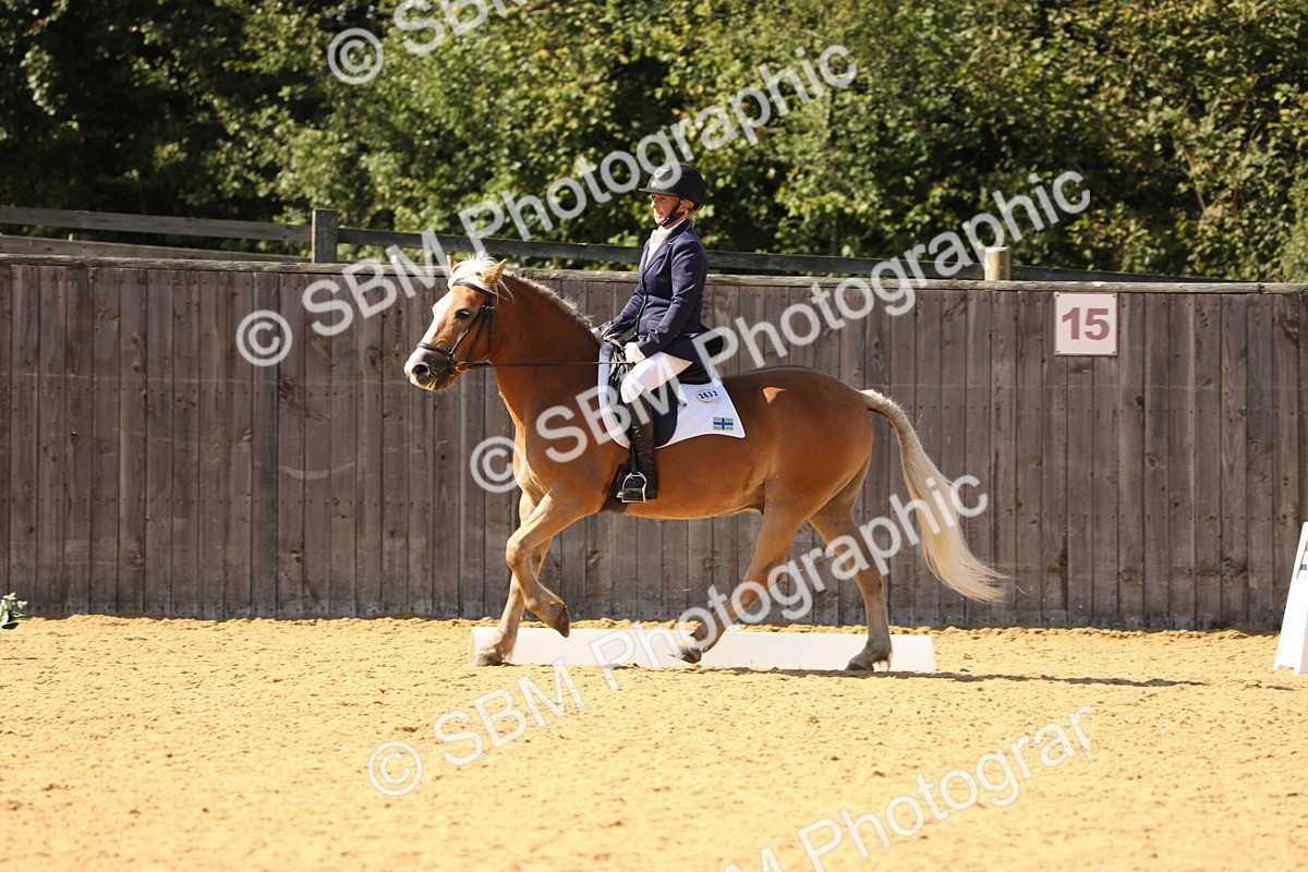 SBM_22407 - D17 - Grand Tour Championship - Novice 27