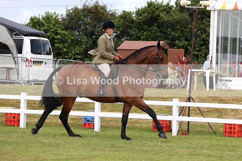 3E7A9323 - Class 4: Rising Star M/H Hunter