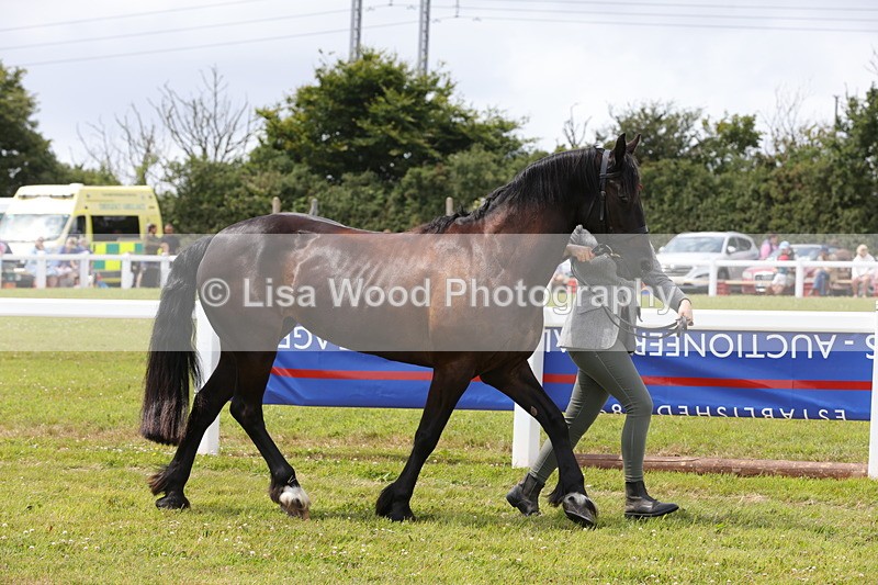 1X9A4767 - Class 35: Veteran In Hand