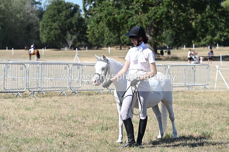 WJ6_9386 - Class 40 Cheekiest Pony/Horse