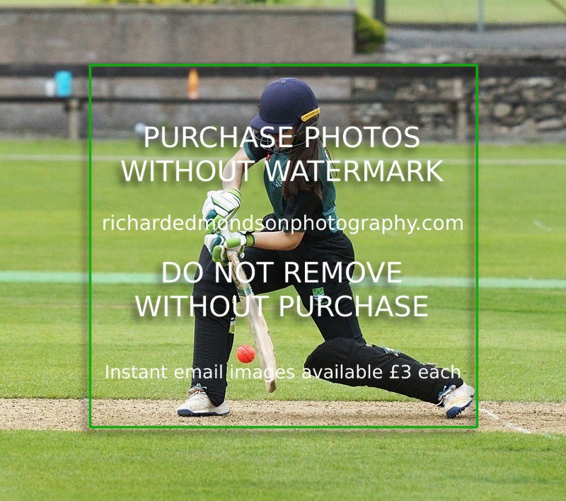 DSC01338 - Cumbria Womans Twenty-20