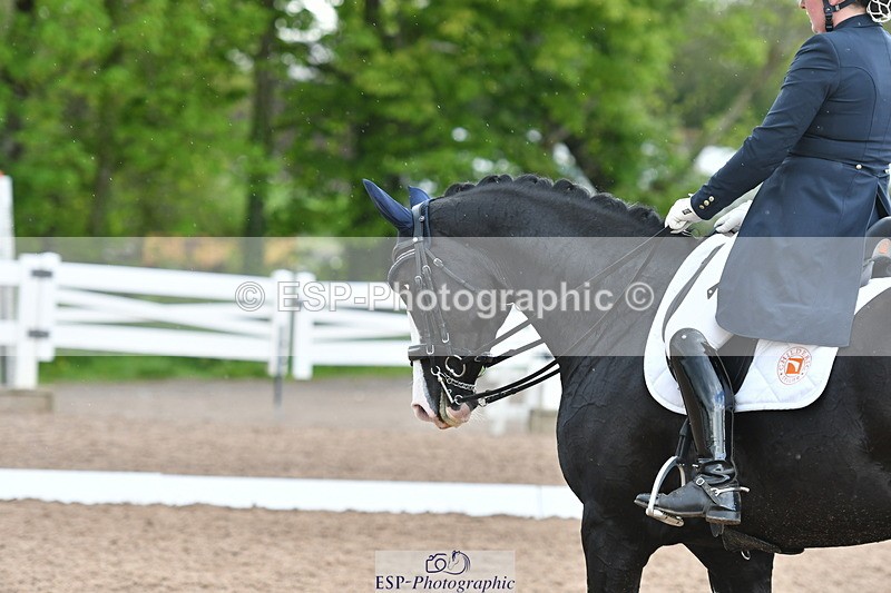 230511A-162327-01349 - BD Cls 18 FEI PSG