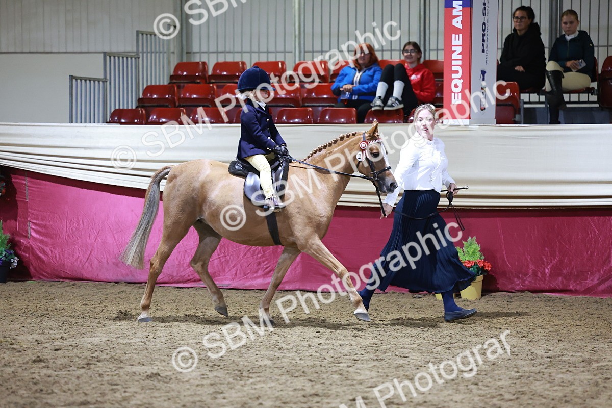 SBM_21531 - Class V - Champion of Champions