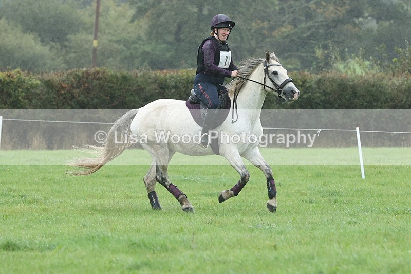 JPP_5117 - Class 1: 65cm : Showjumping