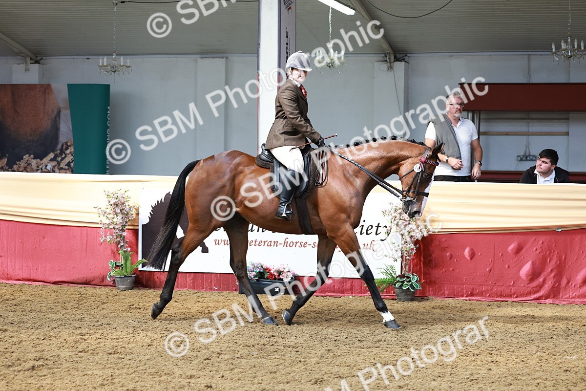 SBM_14883 - Class 108 - Ridden Retired Racehorse