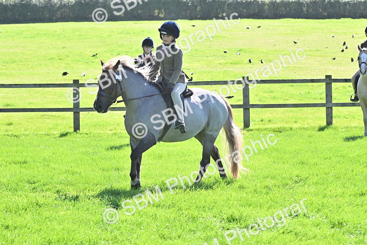 SBM_44548 - S13 - Pony Club Pony
