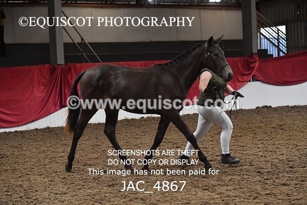 JAC_4867 - 4 River Dance, Take A Chance