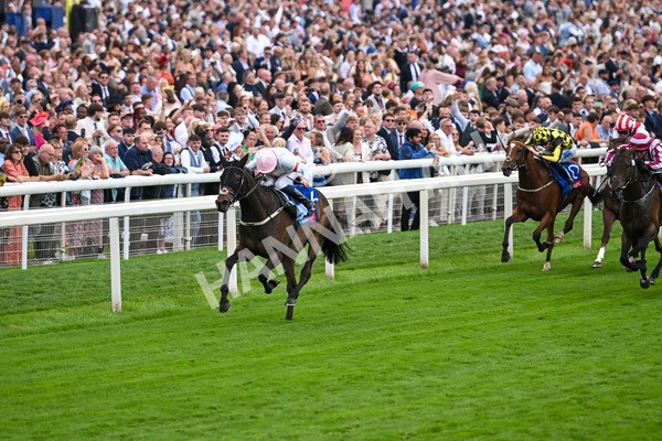 230825-Race 4-Ethical Diamond-0569 - Race 4 3.35pm Sky Bet Ebor Handicap