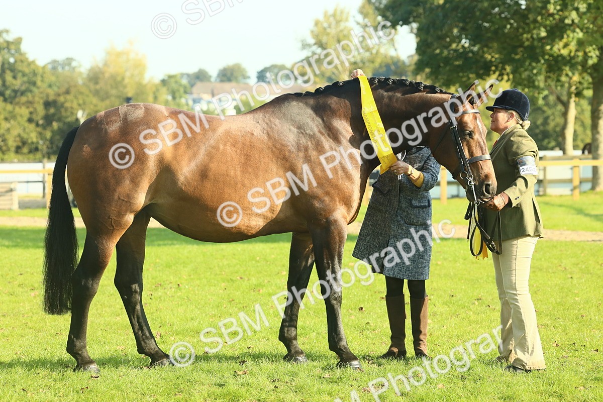 SBM_58630 - S37 - Starters In Hand Showing