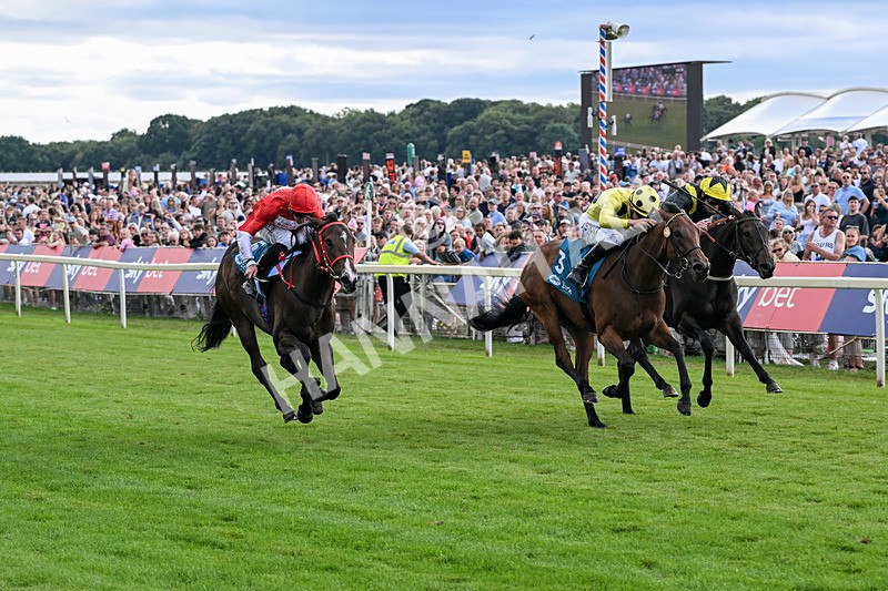250726-Race 5-Rogue Jewel-7564 - Race 5 15.42pm Sky Bet Price Boosts EBF Fillies' Novice Stakes