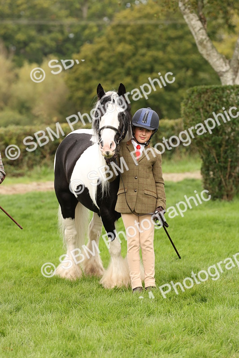 SBM_59337 - S57 - Traditional Cob In Hand