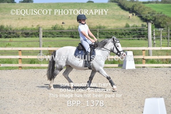 BPP_1378 - DERBY CLASS 2 - 30CM