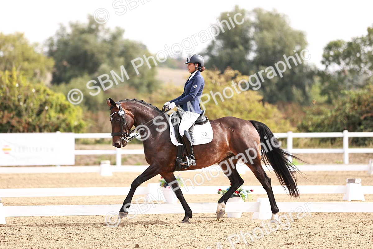 SBM_017560 - Class 11 - Advanced Medium 6