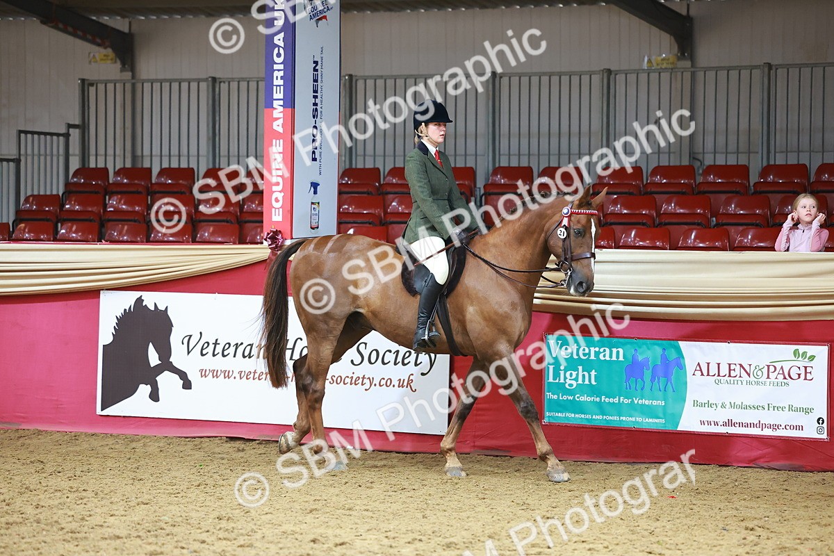 SBM_09580 - Class 102 - HOYS Veteran Qualifier - Ridden Veteran