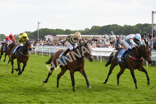 yr13052022r6-34 - Race 6 4.45pm Yorkshire Equine Practice Stakes