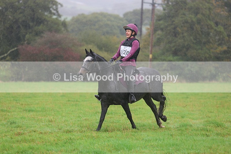 3E7A0975 - Class 1: 65cm: Rails